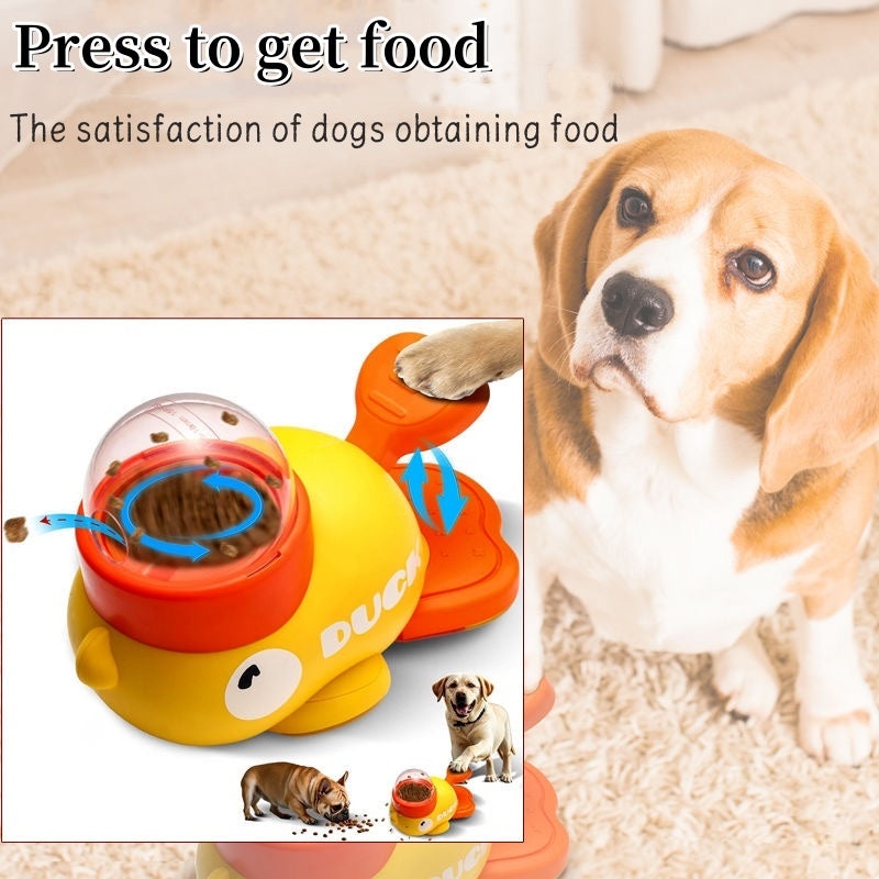 Pets Automatic Feeder