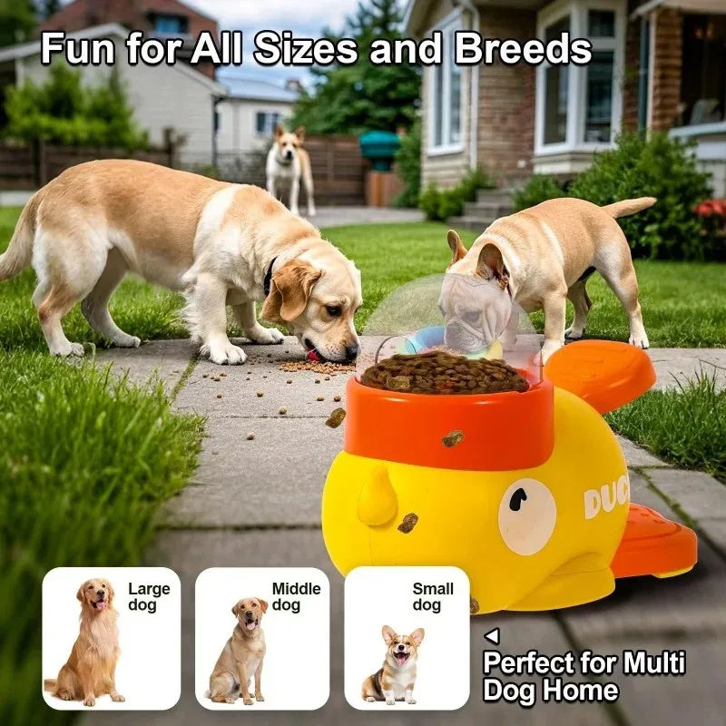 Pets Automatic Feeder