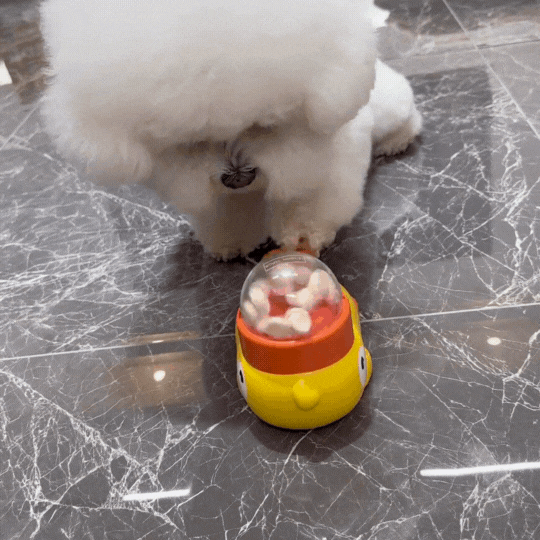 Pets Automatic Feeder