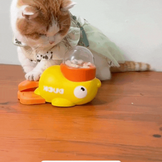 Pets Automatic Feeder